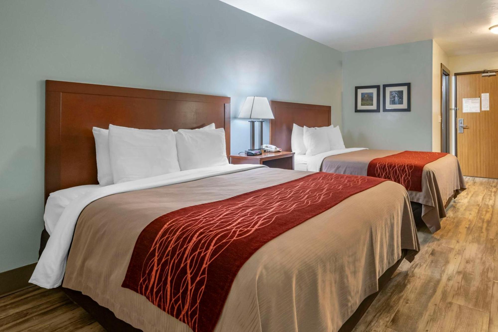 Surestay Plus Hotel By Best Western Buffalo Ngoại thất bức ảnh