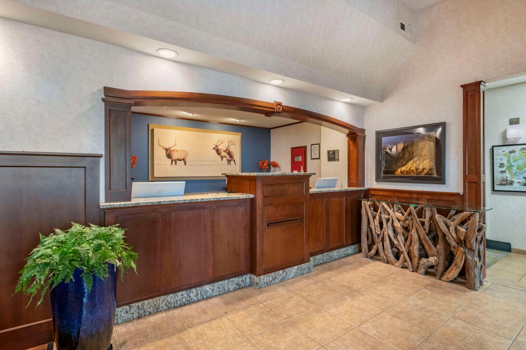 Surestay Plus Hotel By Best Western Buffalo Ngoại thất bức ảnh